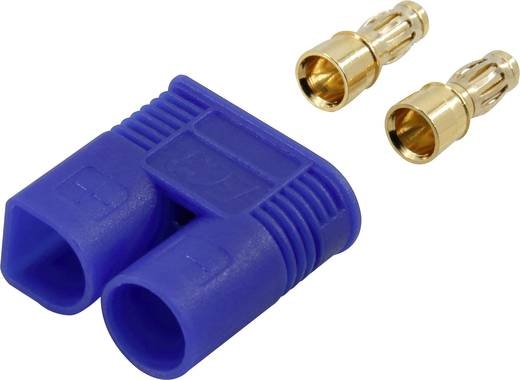 EC-3 Goldstecker, Stecker (Reglerseite)
