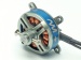Pulsar Shocky Pro Münster Edition 2204 / 2200KV