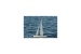 Dragon Force 65 V6 Yacht 2,4 GHz RTR